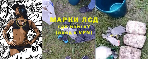 шишки Карпинск