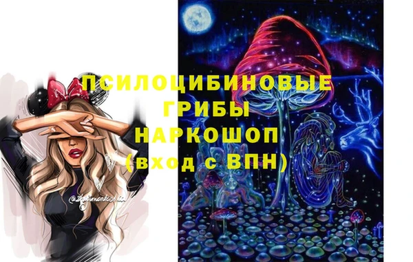 Альфа ПВП Касимов