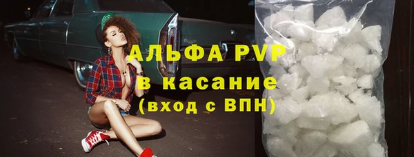 шишки Карпинск