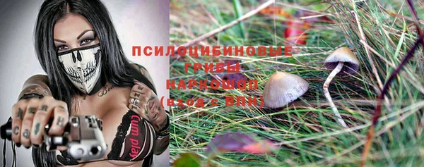 Альфа ПВП Касимов