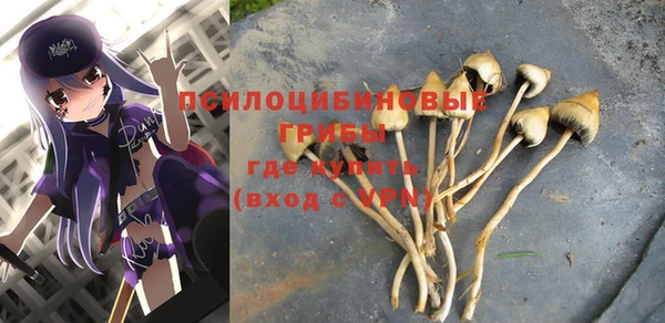 Альфа ПВП Касимов