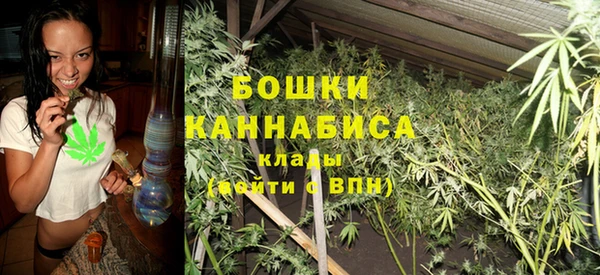Альфа ПВП Касимов