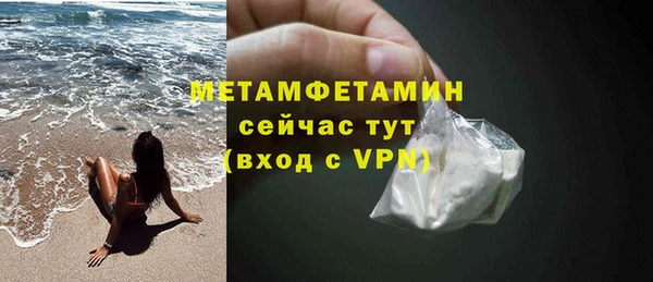 шишки Карпинск