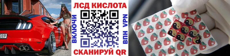 Купить закладки  Завитинск  Наркотические марки 1500мкг 