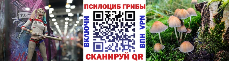 Галлюциногенные грибы мицелий Завитинск
