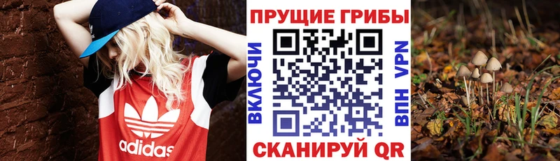 Псилоцибиновые грибы прущие грибы  Купить где  Завитинск 